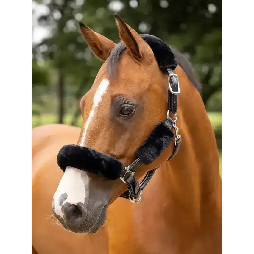 Lemieux Simuwool Headcollar Set Black-Headbands-Lemieux-One Size-Black-Horsey Shopping