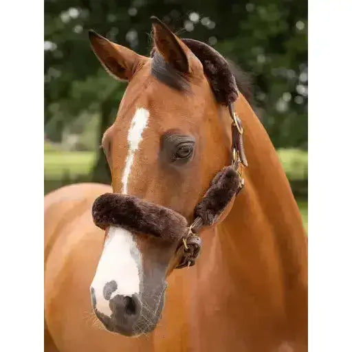 Lemieux Simuwool Headcollar Set Brown-Headcollars-Lemieux-One Size-Brown-Horsey Shopping