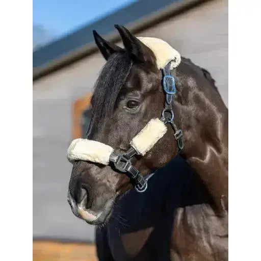Lemieux Simuwool Headcollar Set Natural-Headcollars-Lemieux-One Size-Natural-Horsey Shopping