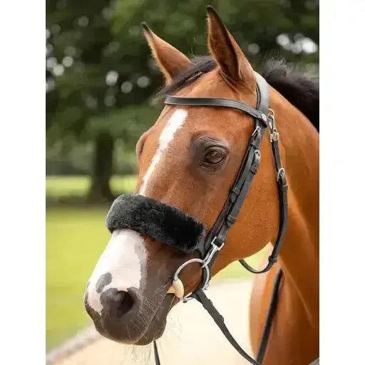 Lemieux Simuwool Noseband Cover Black-Noseband Covers-Lemieux-One Size-Black-Horsey Shopping