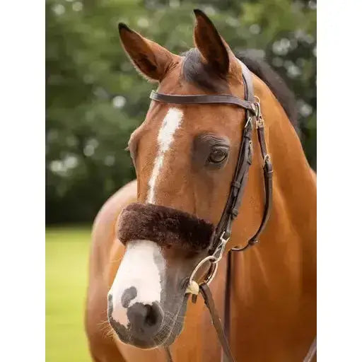 Lemieux Simuwool Noseband Cover Brown-Noseband Covers-Lemieux-One Size-Brown-Horsey Shopping