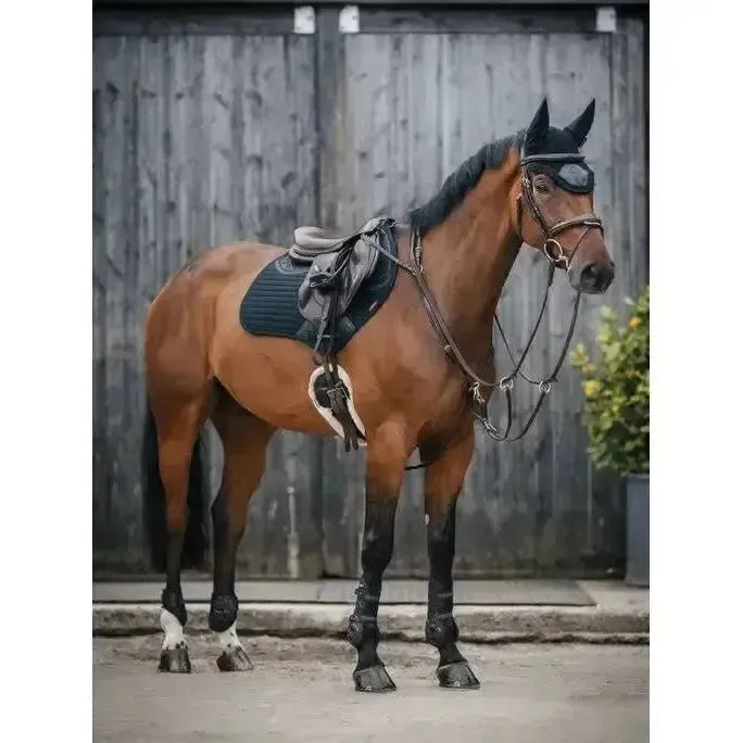Lemieux Soft Shell Anti Slip Close Contact Square Black-Saddle Pads-Lemieux-Large-Black-Horsey Shopping