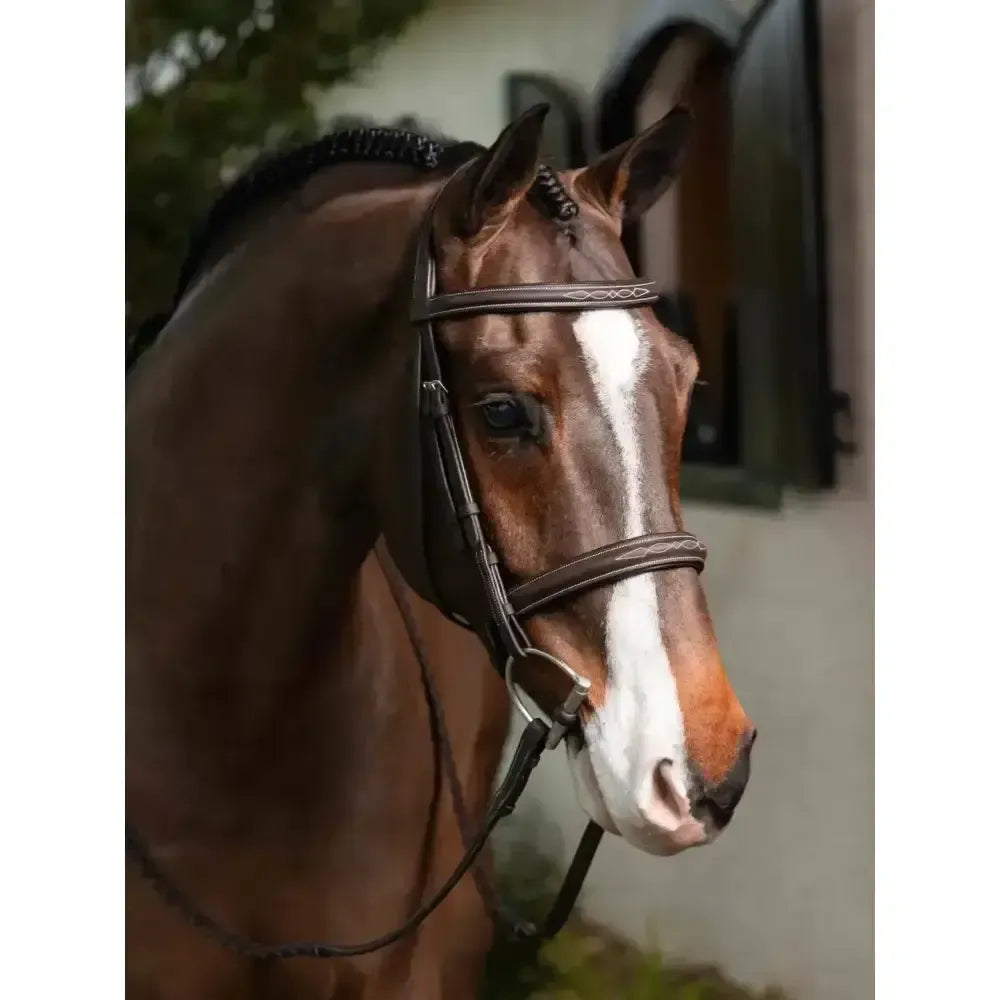 Lemieux Stitched Hunter Bridle with Laced Reins Havana/Silver-Bridles-Lemieux-Havana/Silver-Pony-Horsey Shopping