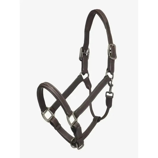 Lemieux Stitched Hunter Headcollar Havana-Leather Headcollars-Lemieux-Havana-Pony-Horsey Shopping