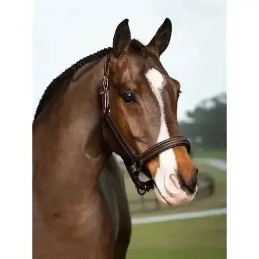Lemieux Stitched Hunter Headcollar Havana-Leather Headcollars-Lemieux-Havana-Pony-Horsey Shopping
