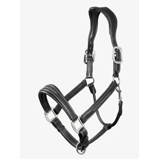 Lemieux Stitched Leather Headcollar Black-Leather Headcollars-Lemieux-Cob-Black-Horsey Shopping