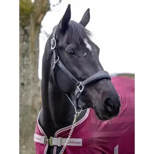 Lemieux Stitched Leather Headcollar Black-Leather Headcollars-Lemieux-Cob-Black-Horsey Shopping