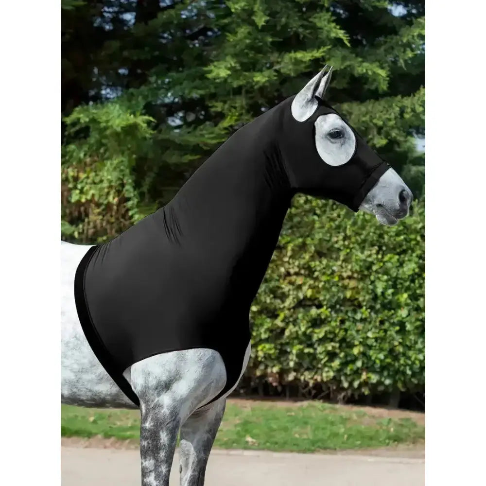Lemieux Stretch Hood Black-Lycra Hoods-Lemieux-X-Small-Black-Horsey Shopping