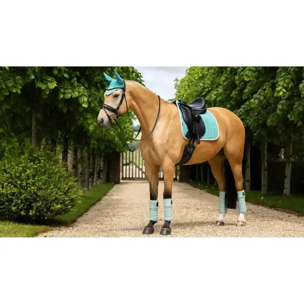 Lemieux Suede Dressage Square Lagoon-Dressage Saddle Pads-Lemieux-Lagoon-Small/Medium-Horsey Shopping