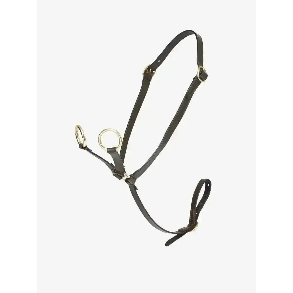 Lemieux Toy Pony Martingale Brown-Toy Pony Accessories-Lemieux-Brown-Horsey Shopping