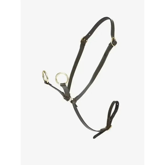 Lemieux Toy Pony Martingale Brown-Toy Pony Accessories-Lemieux-Brown-Horsey Shopping