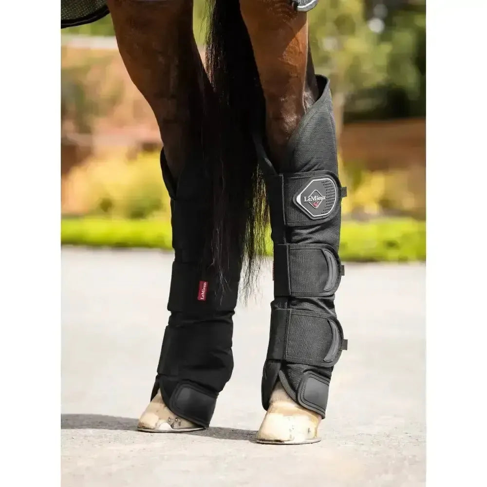 Lemieux Travel Boots Black-Horse Travel Boots-Lemieux-Cob-Horsey Shopping