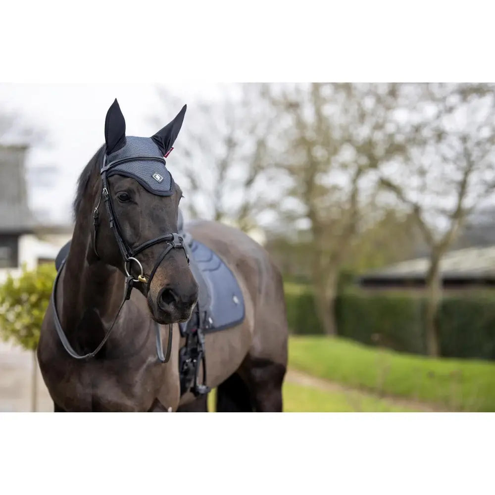 Lemieux Ultra Mesh Fly Hood Dark Navy-Horse Ear Bonnets-Lemieux-Medium-Dark Navy-Horsey Shopping