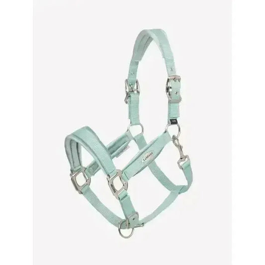 Lemieux Versailles Headcollar Aqua-Headcollars-Lemieux-Aqua-Pony-Horsey Shopping
