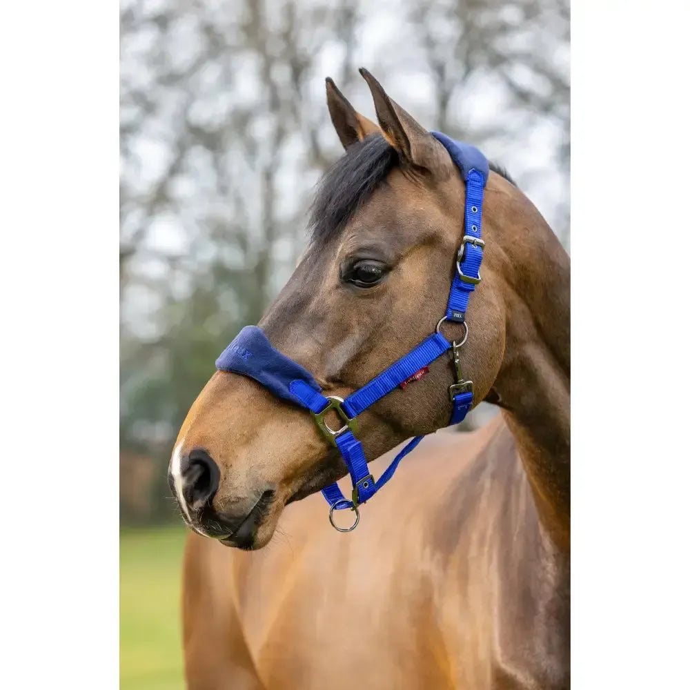 Lemieux Vogue Headcollar & Leadrope Benetton Blue-Headcollar Sets-Lemieux-Benetton Blue-Pony-Horsey Shopping
