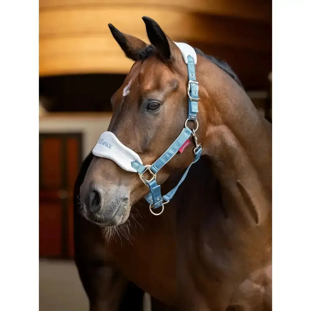 Lemieux Vogue Headcollar & Leadrope Ice Blue-Headcollar Sets-Lemieux-Ice Blue-Pony-Horsey Shopping
