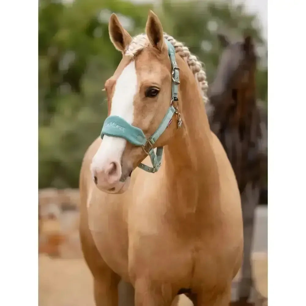 Lemieux Vogue Headcollar & Leadrope Lagoon-Headcollar Sets-Lemieux-Lagoon-Pony-Horsey Shopping
