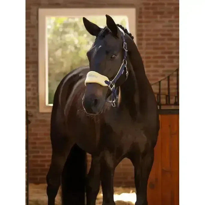 Lemieux Vogue Headcollar & Leadrope Mimosa-Headcollar Sets-Lemieux-Mimosa-Full-Horsey Shopping