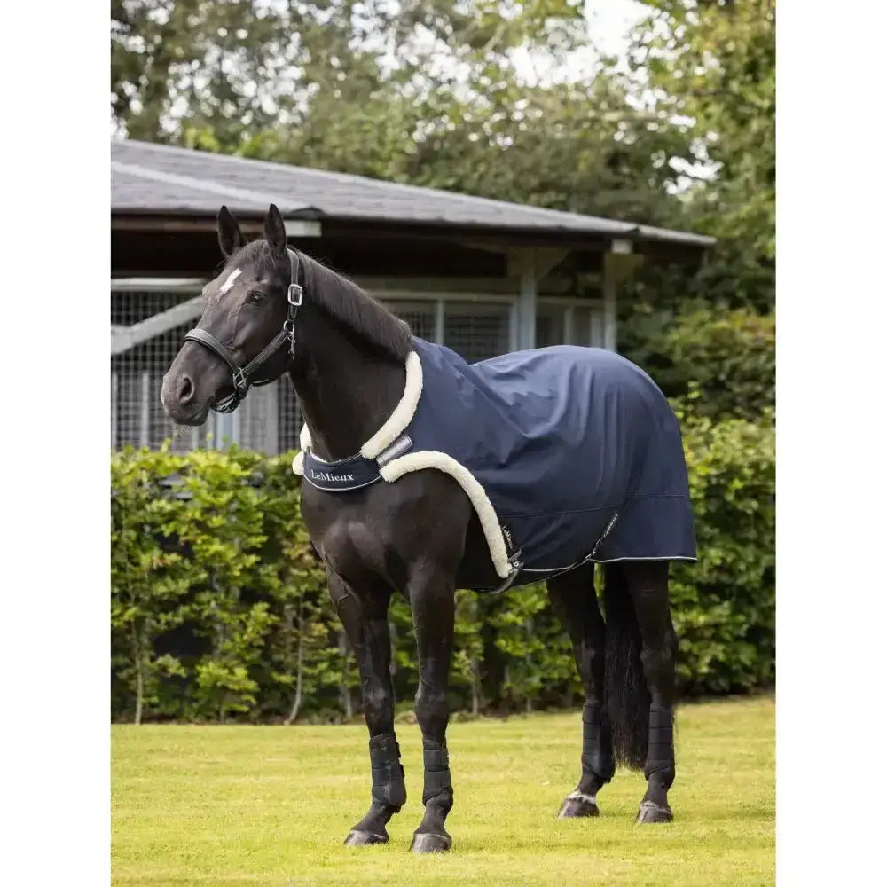 Lemieux Walker Rug Navy-Horse Walker Rugs-Lemieux-Small-Horsey Shopping