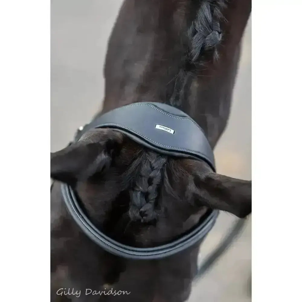 Lemieux Work Bridle-Bridles-Lemieux-Black-Cob-Horsey Shopping