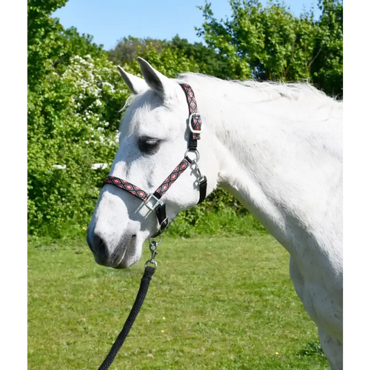 Rhinegold Diamond Pattern Headcollar & Rope Set Shetland Navy Headcollar Sets