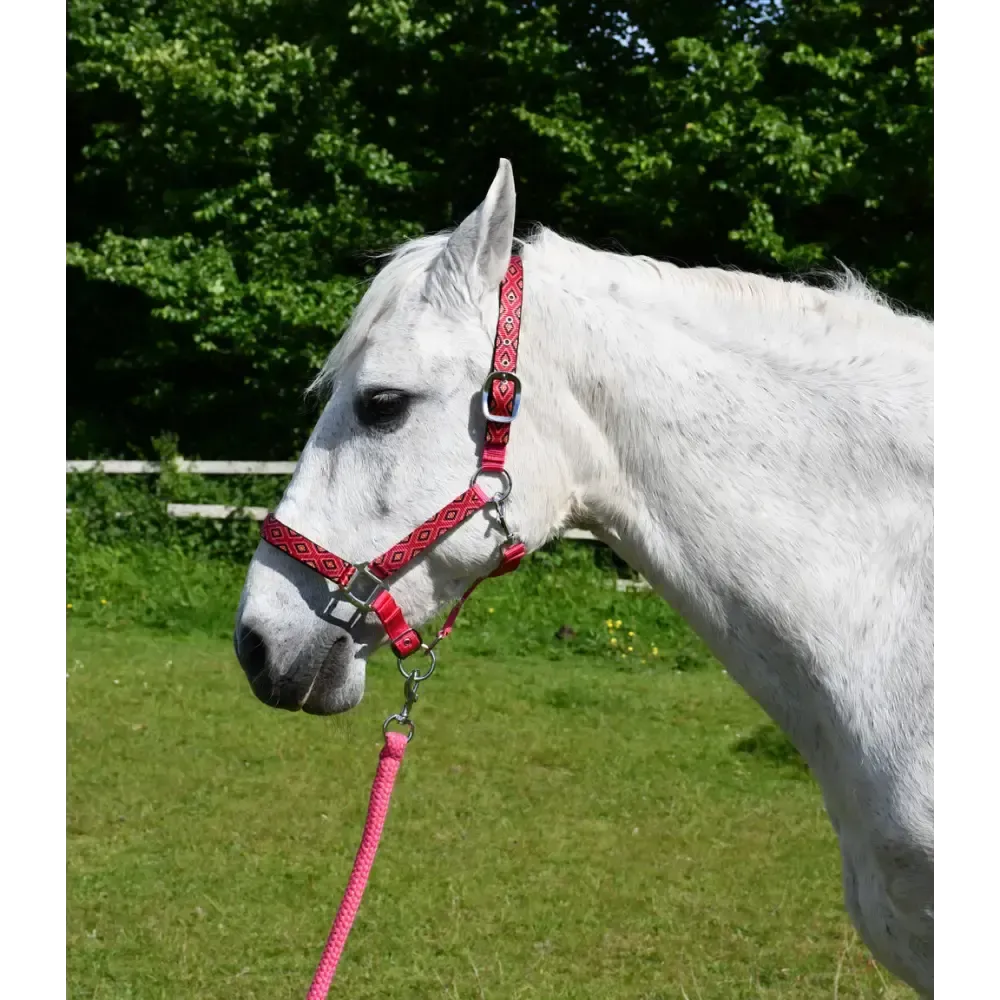 Rhinegold Diamond Pattern Headcollar & Rope Set Shetland Navy Headcollar Sets