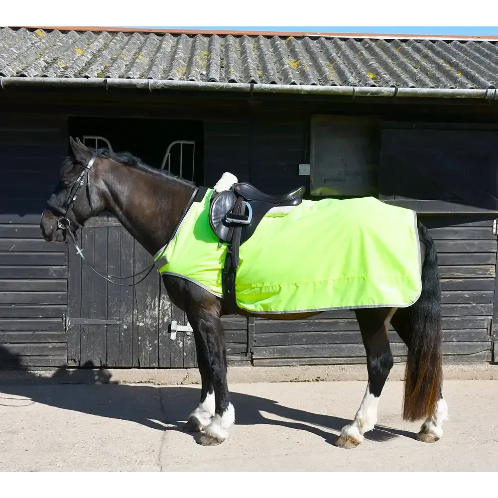 Rhinegold Fixed Chest Waterproof Ride-On Rug 5'0 Yellow Exercise Sheets