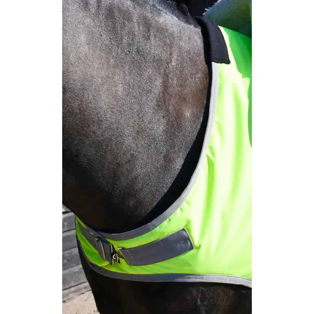 Rhinegold Fixed Chest Waterproof Ride-On Rug 5'0 Navy Exercise Sheets