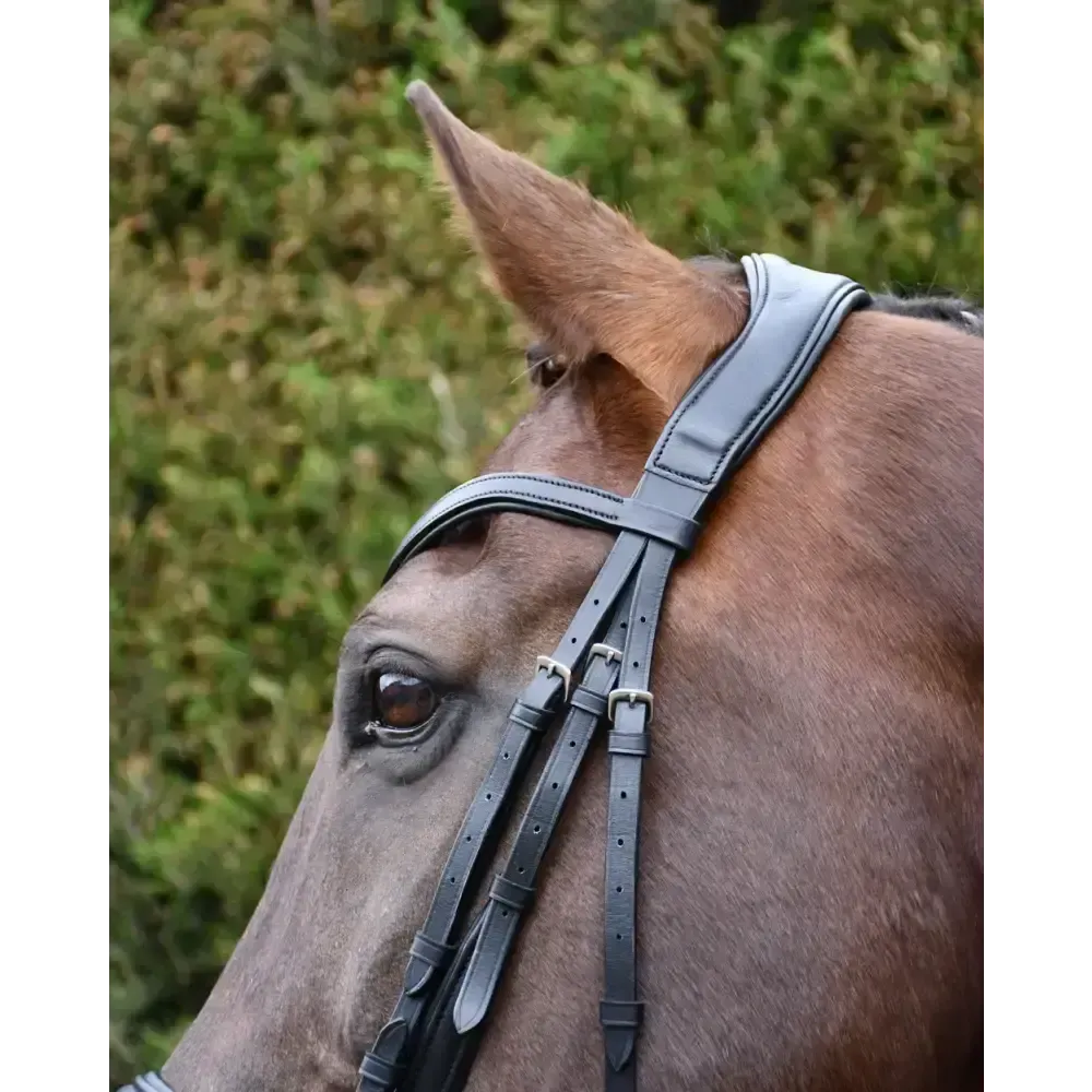 Rhinegold Softee Pro-Anatomic Bridle Cob Black Anatomical Bridles