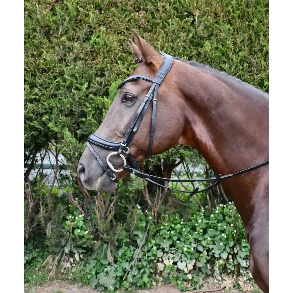 Rhinegold Softee Pro-Anatomic Bridle Cob Black Anatomical Bridles