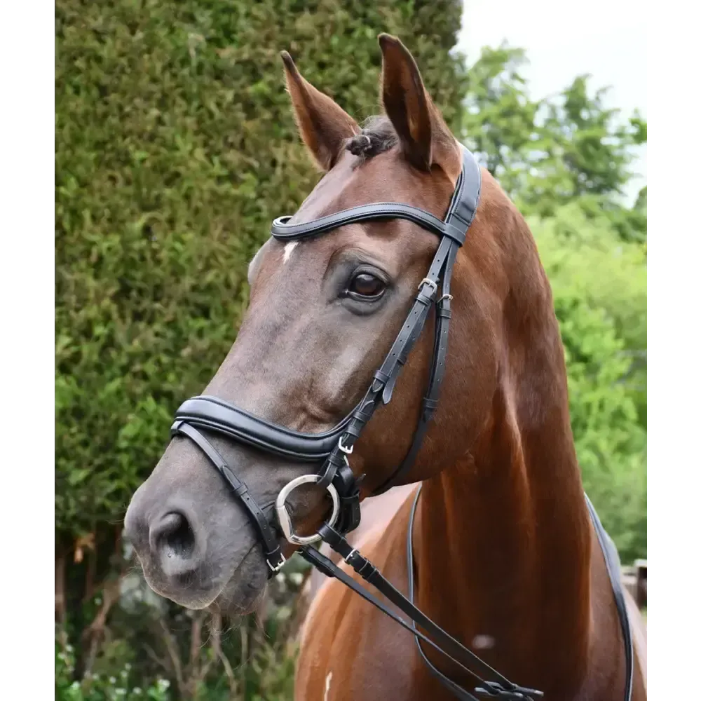 Rhinegold Softee Pro-Anatomic Bridle Cob Black Anatomical Bridles