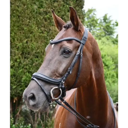 Rhinegold Softee Pro-Anatomic Bridle Cob Black Anatomical Bridles