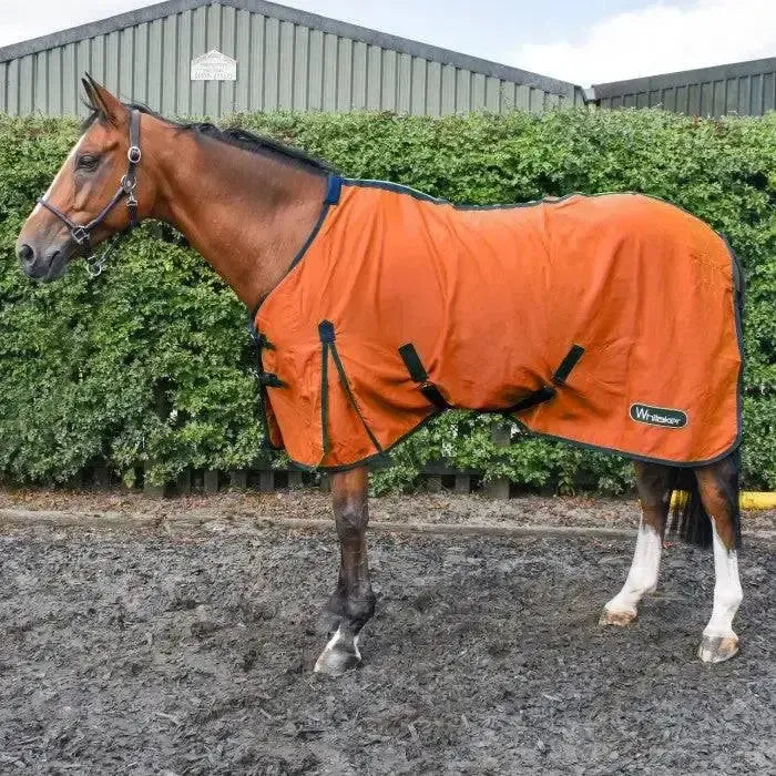 Whitaker Allerton Cotton Sheet-Cooler Rugs-John Whitaker-4'9"-Orange-Horsey Shopping
