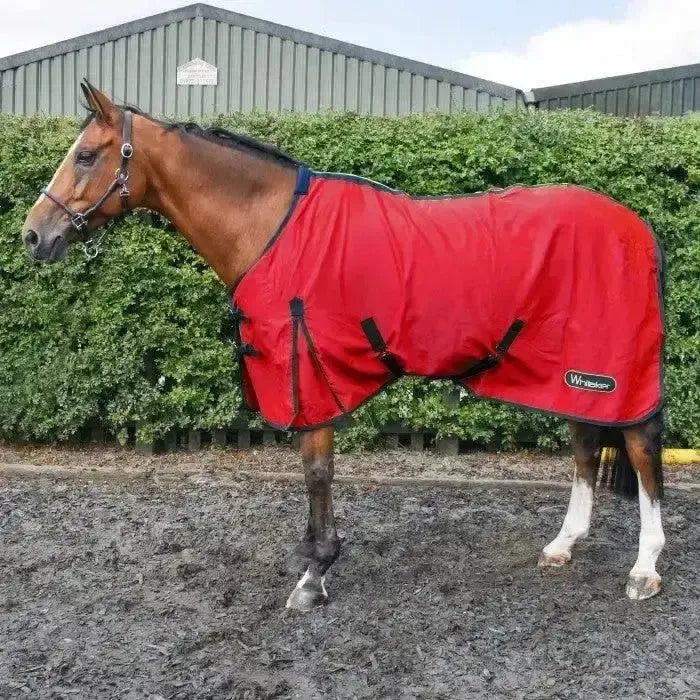 Whitaker Allerton Cotton Sheet-Cooler Rugs-John Whitaker-5'0"-Red-Horsey Shopping