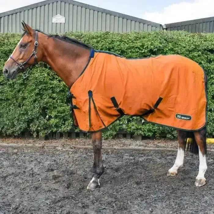 Whitaker Allerton Cotton Sheet-Cooler Rugs-John Whitaker-5'9"-Tangerine-Horsey Shopping