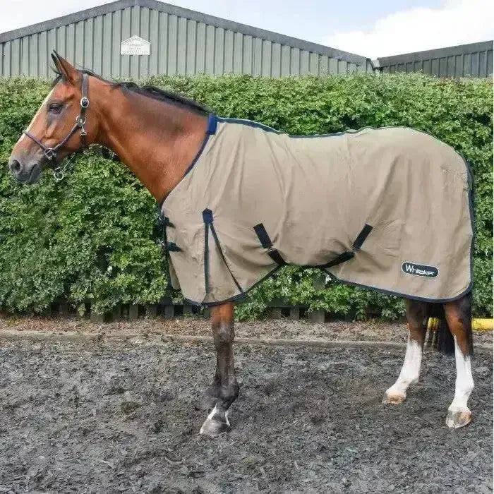 Whitaker Allerton Cotton Sheet-Cooler Rugs-John Whitaker-6'0"-Beige-Horsey Shopping