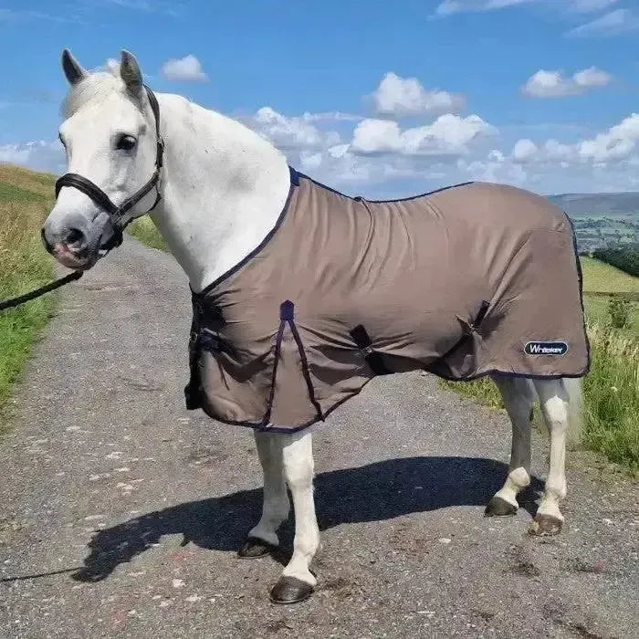 Whitaker Allerton Cotton Sheet-Cooler Rugs-John Whitaker-6'0"-Espresso-Horsey Shopping