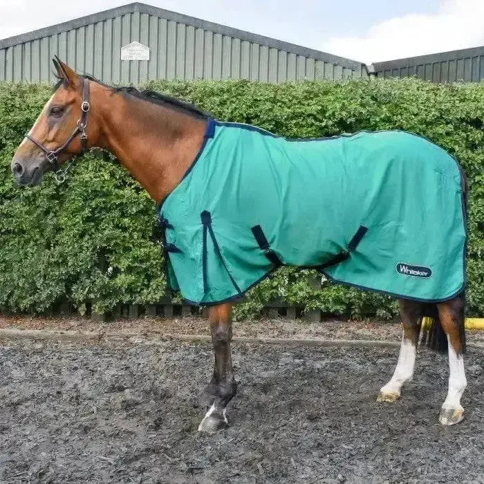Whitaker Allerton Cotton Sheet-Cooler Rugs-John Whitaker-6'3"-Turquoise-Horsey Shopping