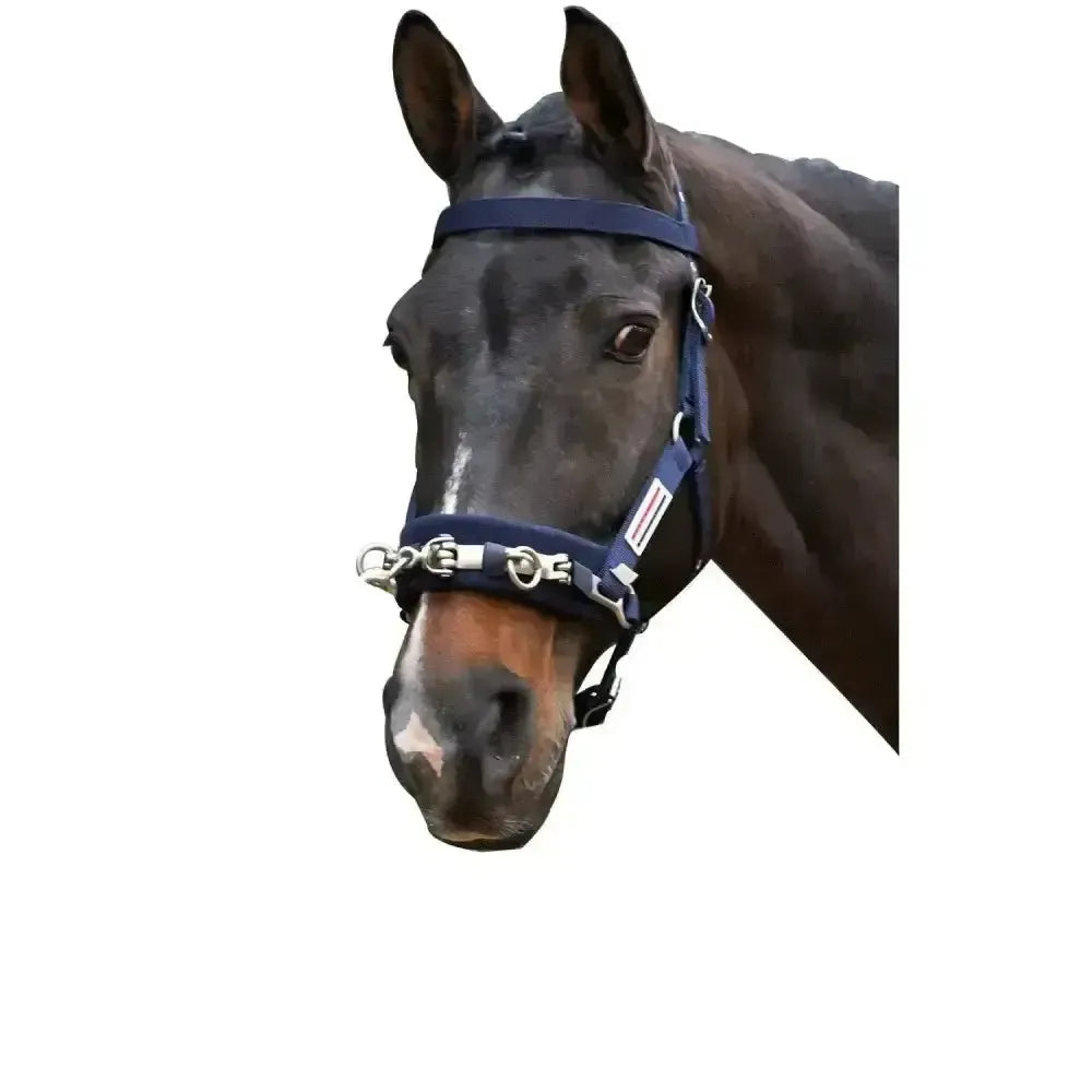 Whitaker Lunge Cavesson Navy Cob-Lunging Cavesson-John Whitaker-Cob-Navy-Horsey Shopping