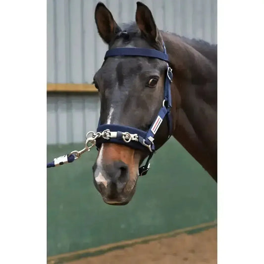 Whitaker Lunge Cavesson Navy Cob-Lunging Cavesson-John Whitaker-Cob-Navy-Horsey Shopping