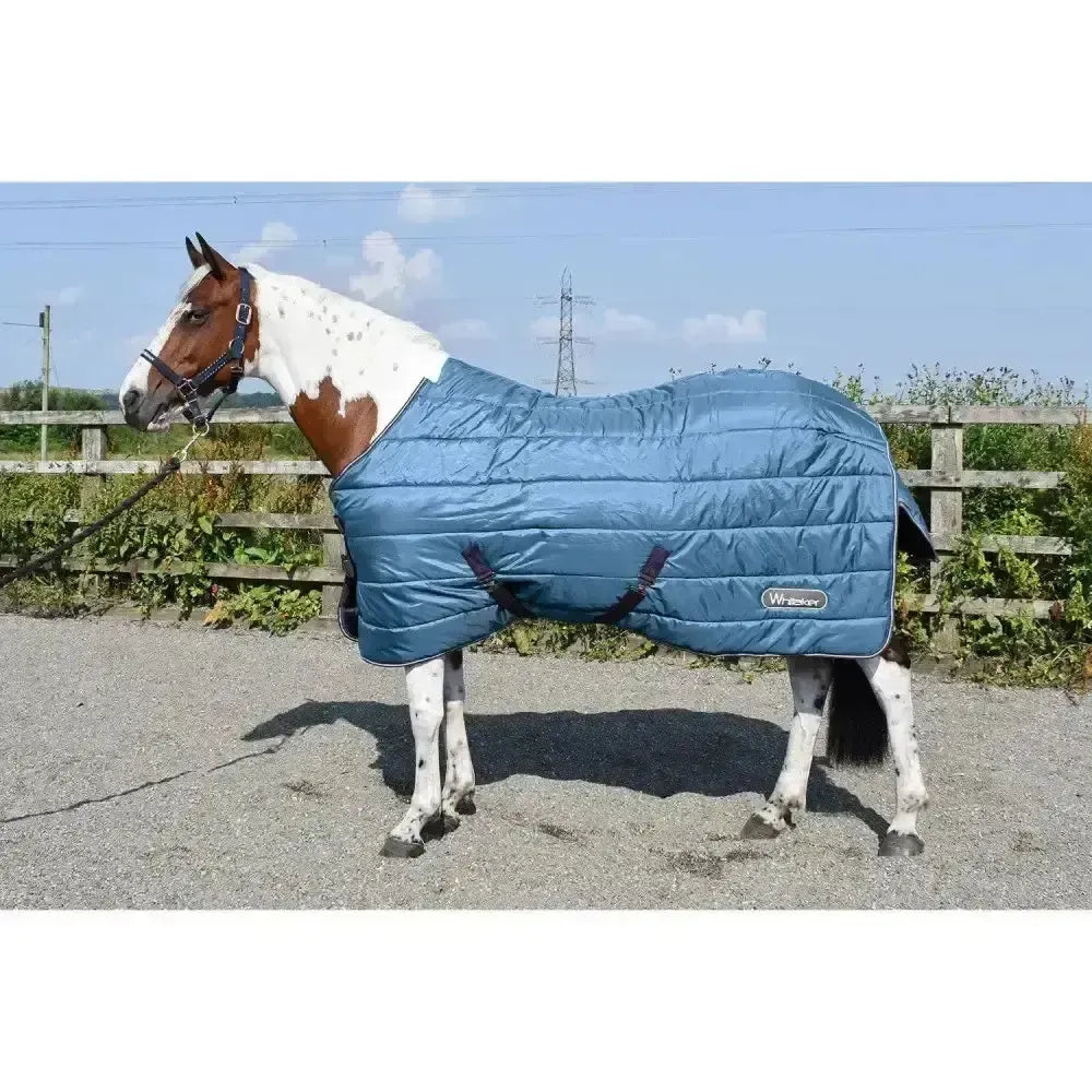 Whitaker Lupin Stable Rug 200gm Teal-Stable Rugs-John Whitaker-5'0"-Teal-Horsey Shopping