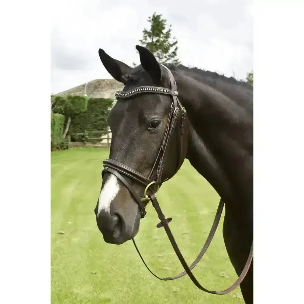 Whitaker Lynton Flash Bridle C/W Spare Browband Black-Bridles-John Whitaker-Pony-Black-Horsey Shopping
