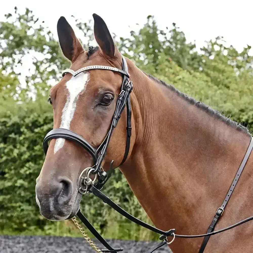 Whitaker Lynton Snaffle Bridle C/W Spare Browband Havana-Bridles-John Whitaker-Pony-Havana-Horsey Shopping