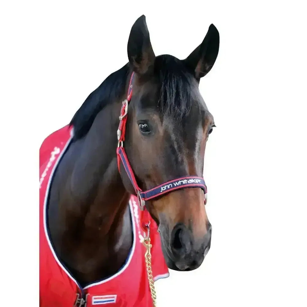 Whitaker Padded Fleece Headcollar Red/Navy-Headcollars-John Whitaker-Pony-Red/Navy-Horsey Shopping