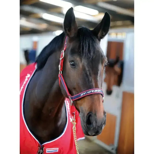 Whitaker Padded Fleece Headcollar Red/Navy-Headcollars-John Whitaker-Pony-Red/Navy-Horsey Shopping