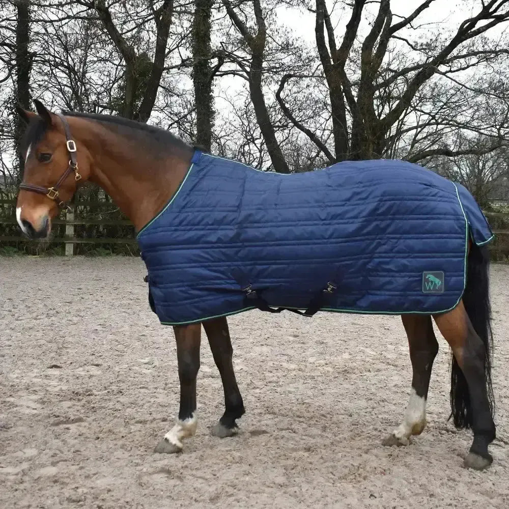 Whitaker Pippa Stable Rug 100Gm Navy/Green-Stable Rugs-John Whitaker-Navy/Green-5'9"-Horsey Shopping