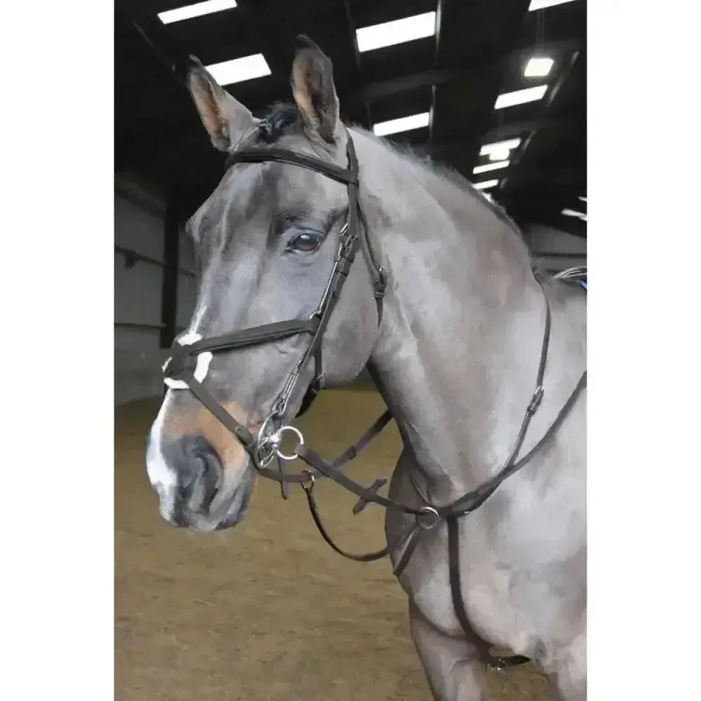 Whitaker Ready To Ride Martingale-Martingales-John Whitaker-Pony-Black-Horsey Shopping
