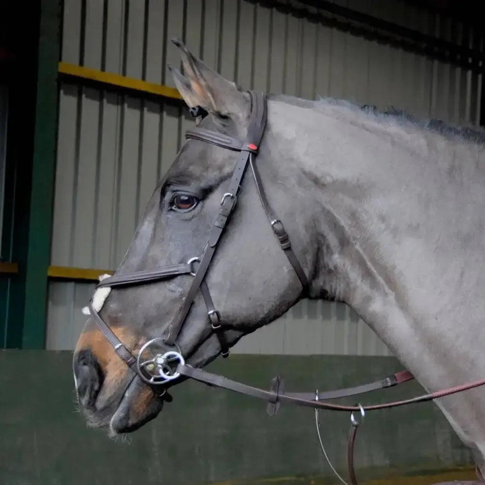 Whitaker Ready To Ride Mexican Bridle-Bridles-John Whitaker-Pony-Black-Horsey Shopping