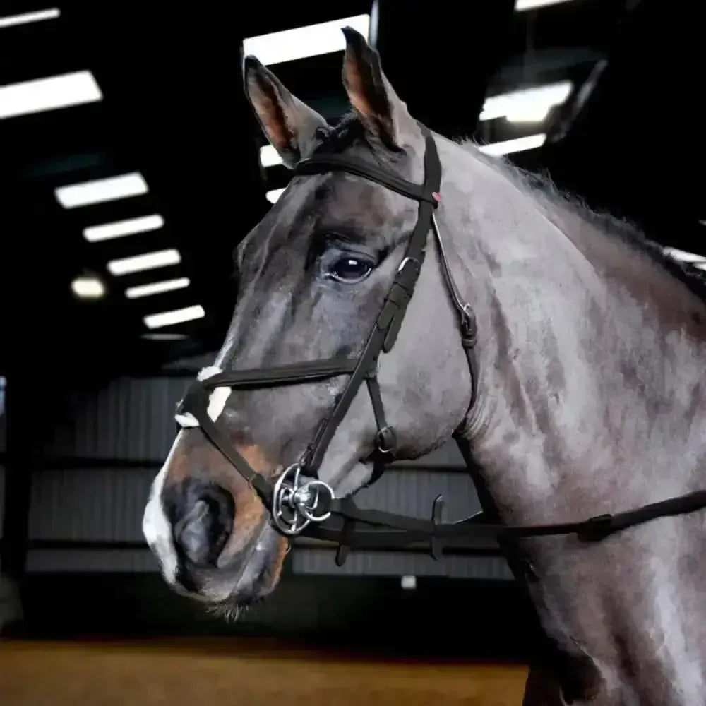 Whitaker Ready To Ride Mexican Bridle-Bridles-John Whitaker-Pony-Black-Horsey Shopping
