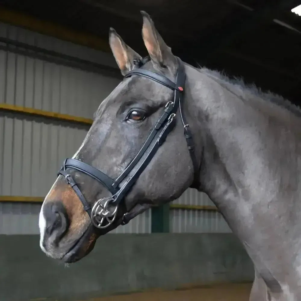 Whitaker Ready To Ride Snaffle Bridle Black-Bridles-John Whitaker-Pony-Black-Horsey Shopping